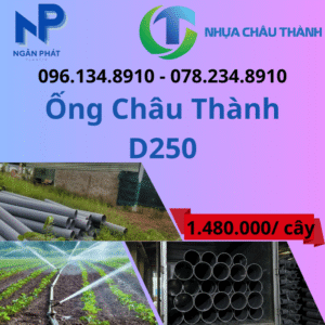 Ống Nhựa D250 Châu Thành Giá Rẻ