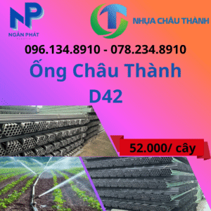 Ống Nhựa D42 Châu Thành Giá Rẻ