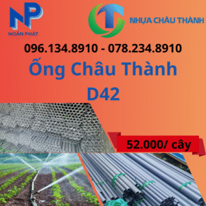 Ống Nhựa D42 Châu Thành Giá Rẻ