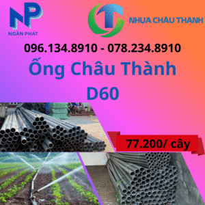 Ống Nhựa D60 Châu Thành Giá Rẻ