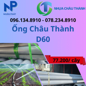 Ống Nhựa D60 Châu Thành Giá Rẻ