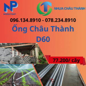 Ống Nhựa D60 Châu Thành Giá Rẻ