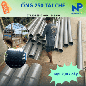 Ống Nhựa PVC 250 Giá Tốt